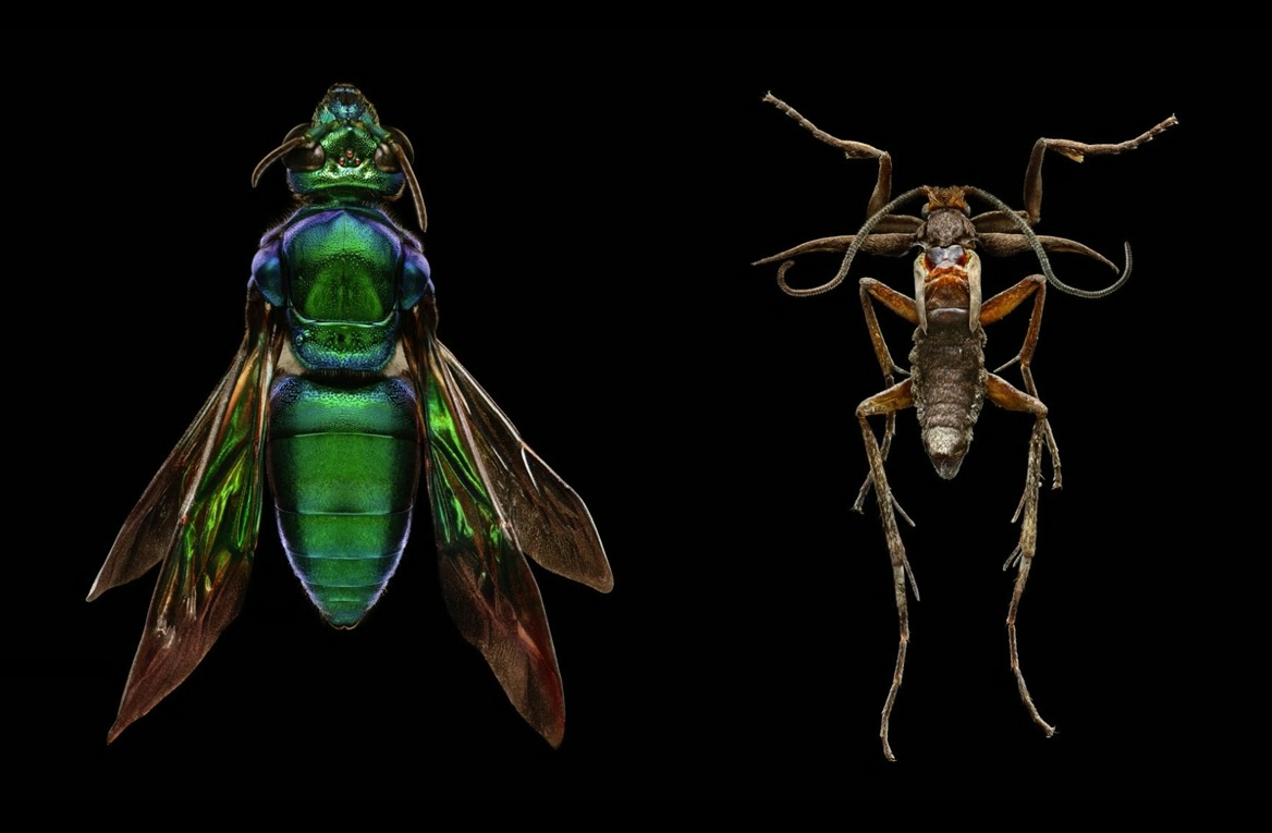 Ted Talks to Inspire