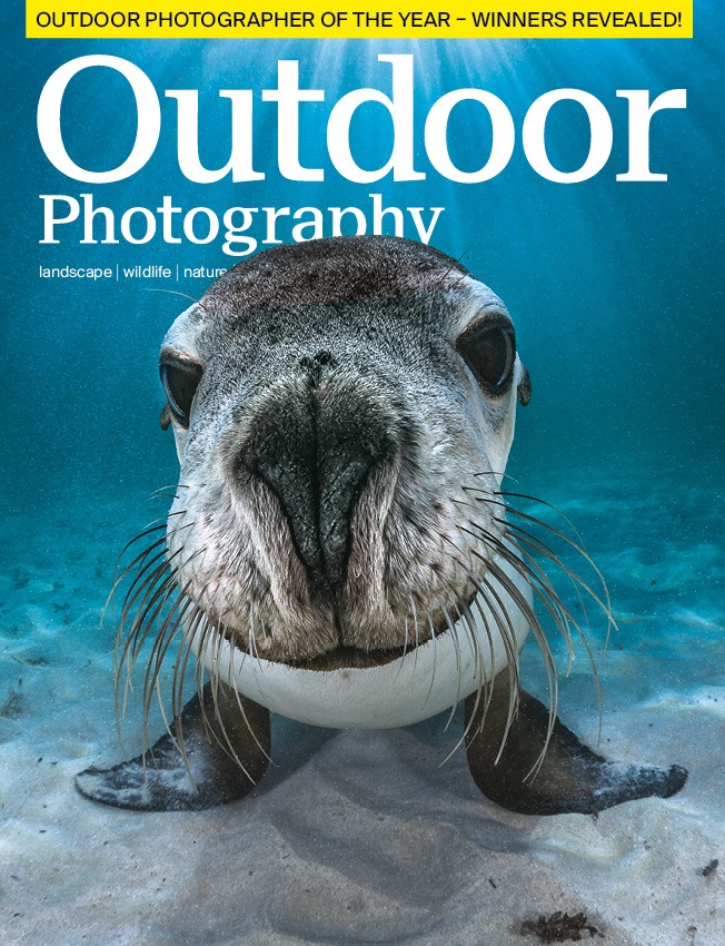 Outdoor Photography 242