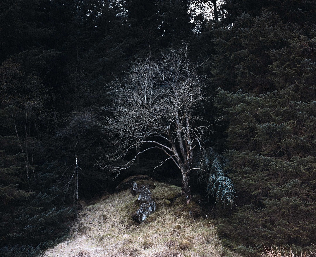 Regarding Nature - exhibition closes soon