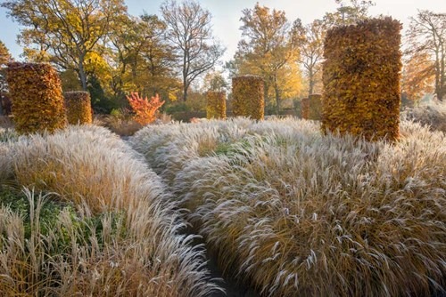 Marianne Majerus - The soft hues of autumn at RHS Garden Wisley