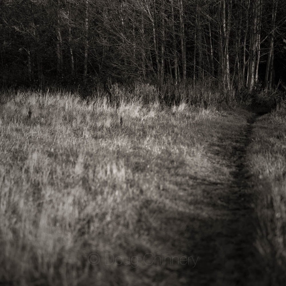 Woodland beauty revealed in new photo exhibition