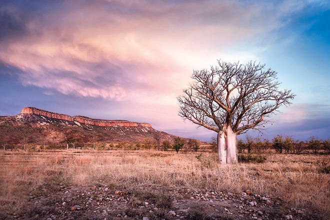 Where in the World 213