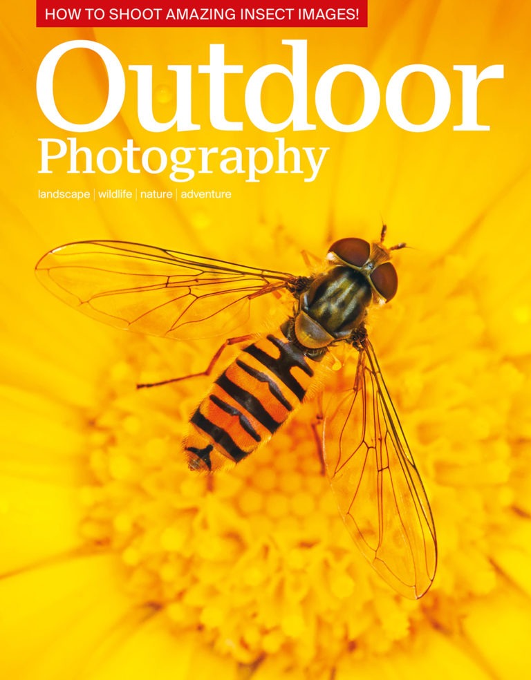 Outdoor Photography 230