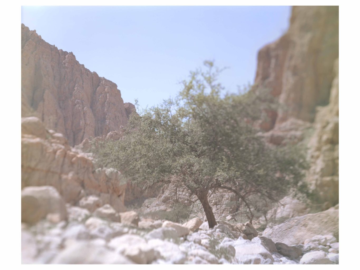 Evocative landscapes on show at Photo London