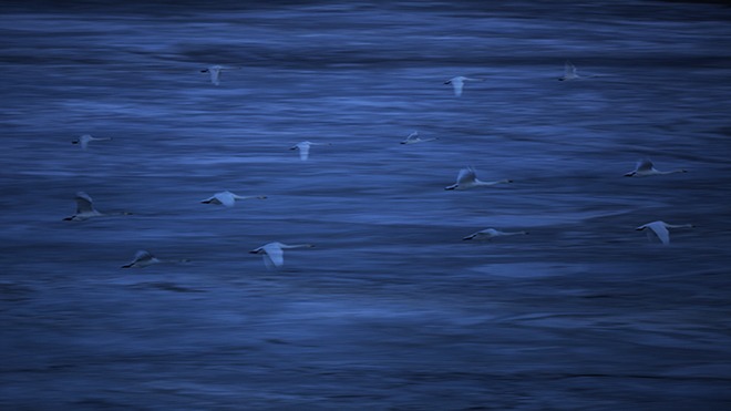 Short Exposure: Stefan Gerrits