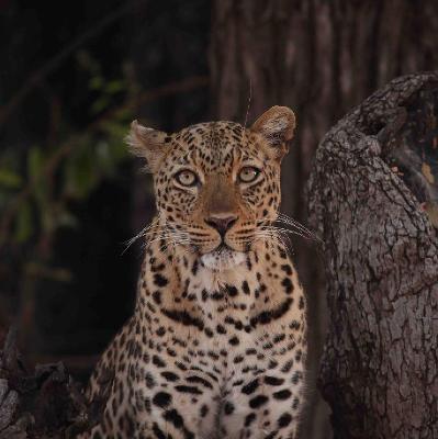 Face to face with nature