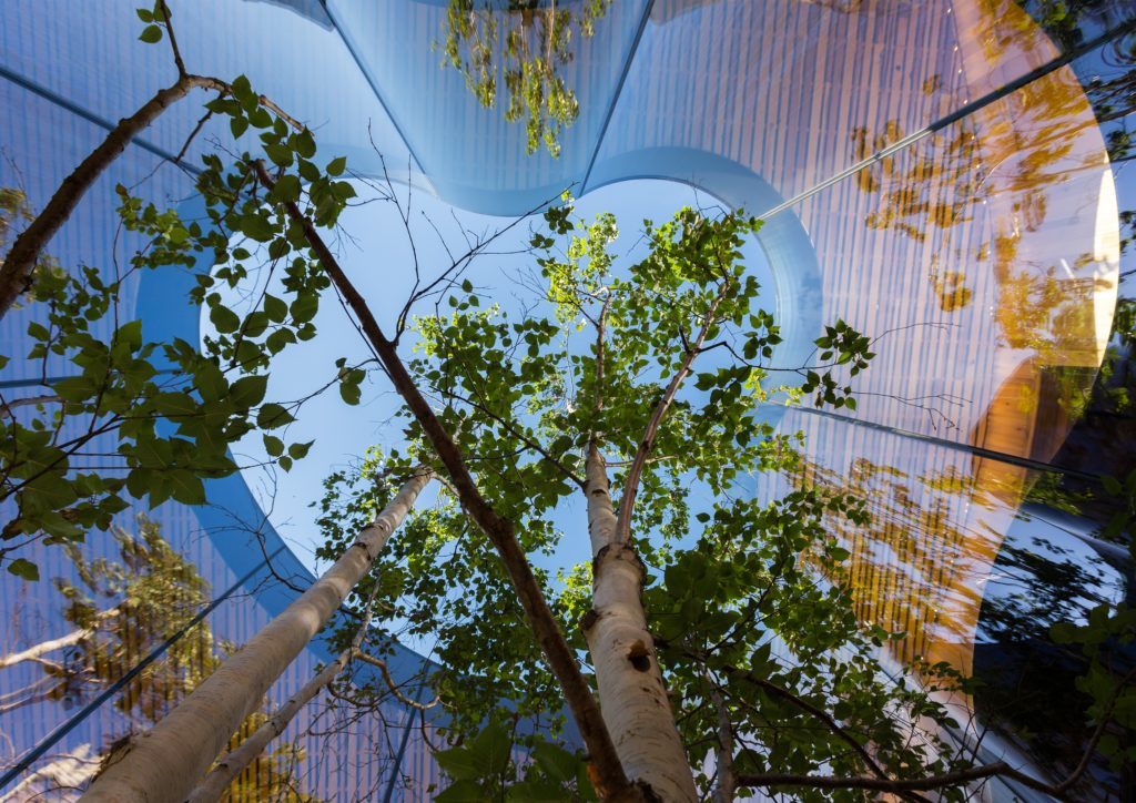 Design to Shape Light