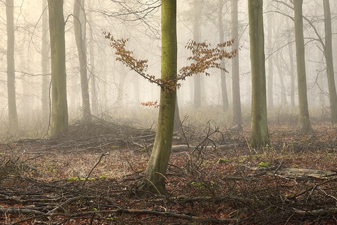 Short exposure...Russ Barnes