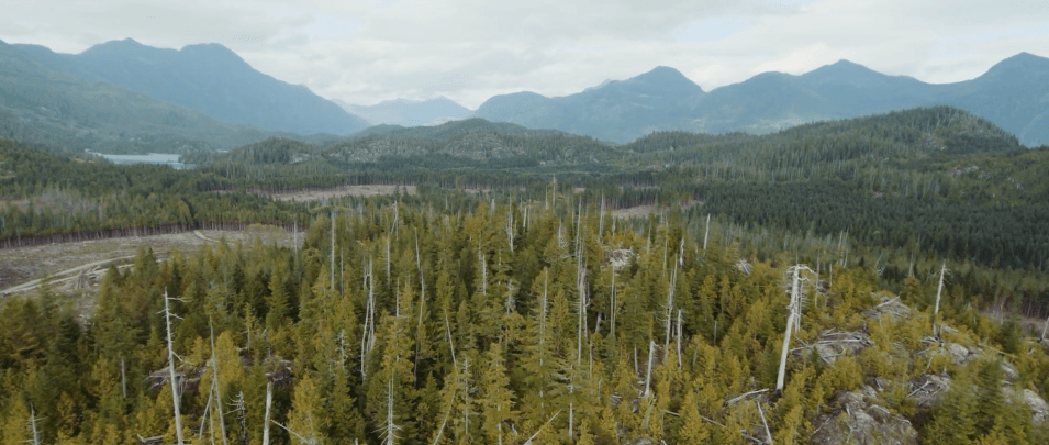 Bringing Back The Light - Short Film