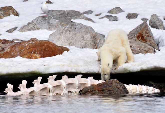 Short exposure...Ruth Asher