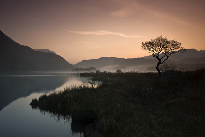 Short exposure...Ron Evans
