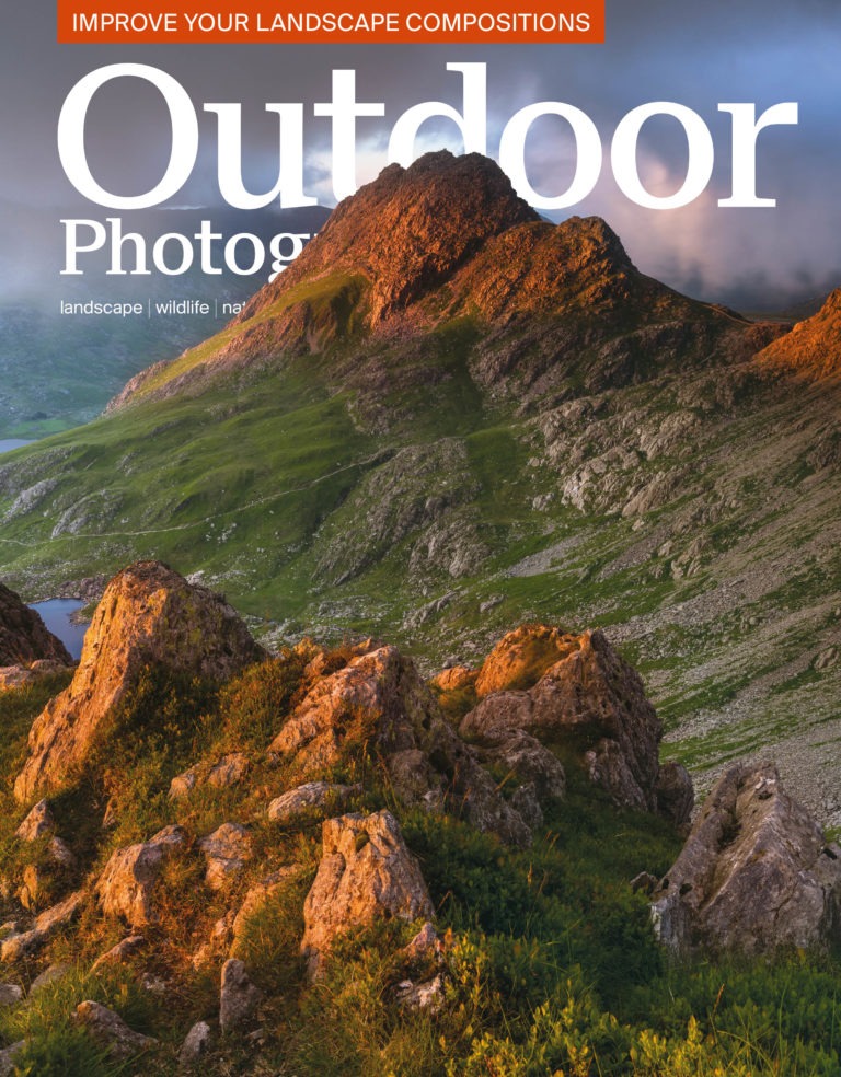 OP's July issue: what's in store