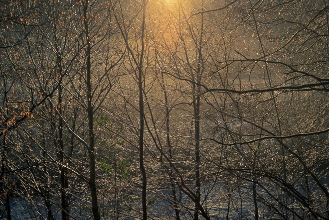 Ben Wayman - Winner of Outdoor Photographer of the Year 2015