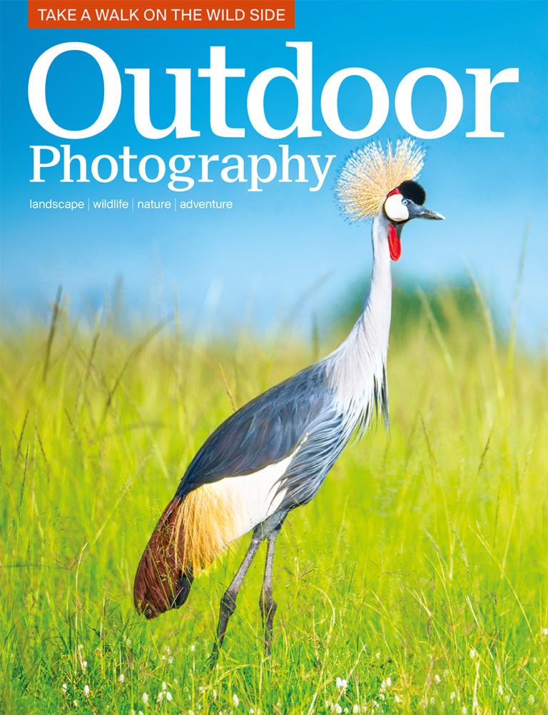 OP's August issue: what's in store