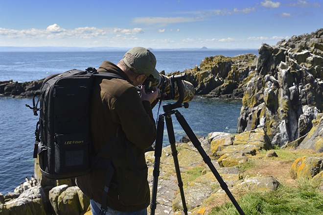 Wildlife photography: know the law