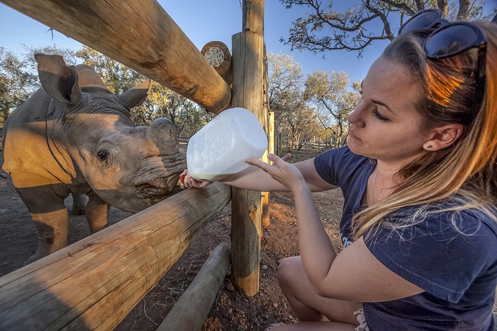 New Photography Award