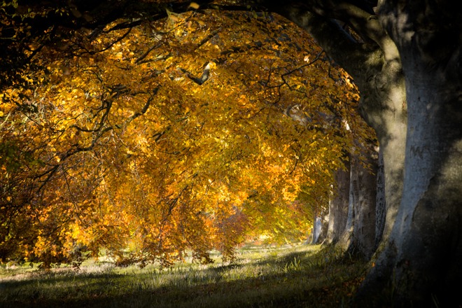 Short exposure...Robin Goodlad