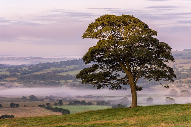 Jason and Tracy's great challenge: five days left