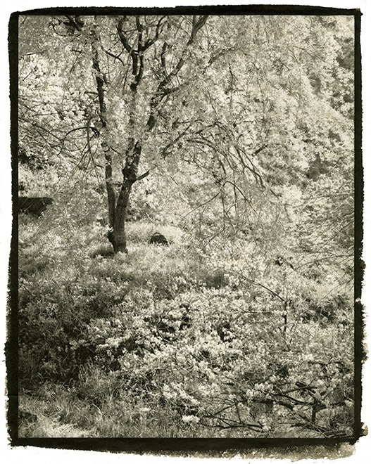 Meditations in platinum