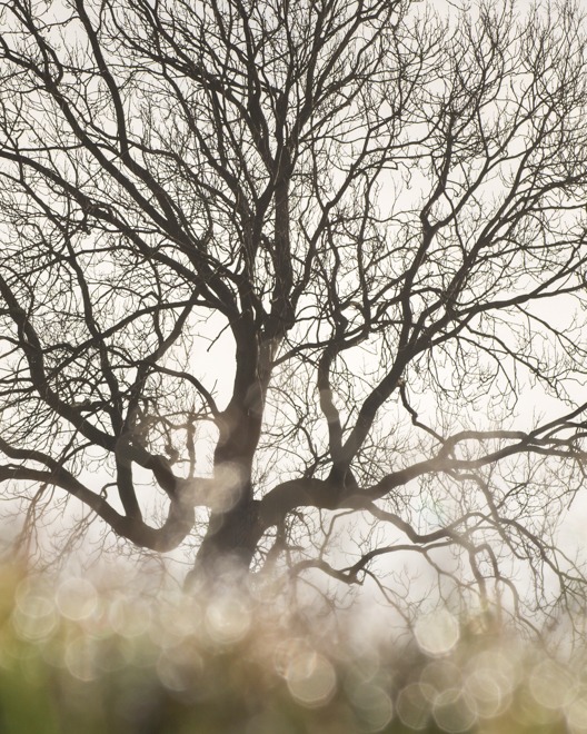 Short exposure: Tamsin Bailey