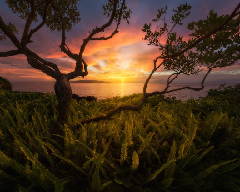 USA Landscape Photographer of the Year 2015