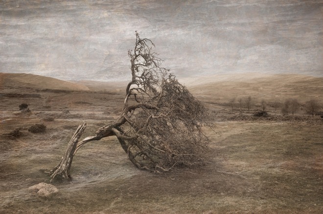 Short exposure: Anna Stevenson