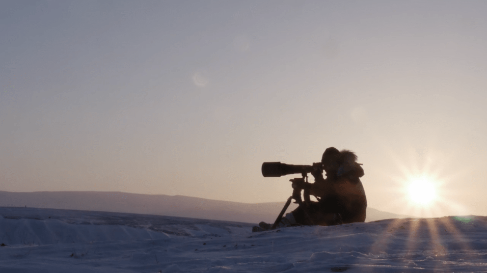 Arctique by Vincent Munier - A Short Film