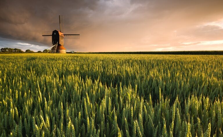 Stevington Windmill, Bedfordshire © Amar Sood