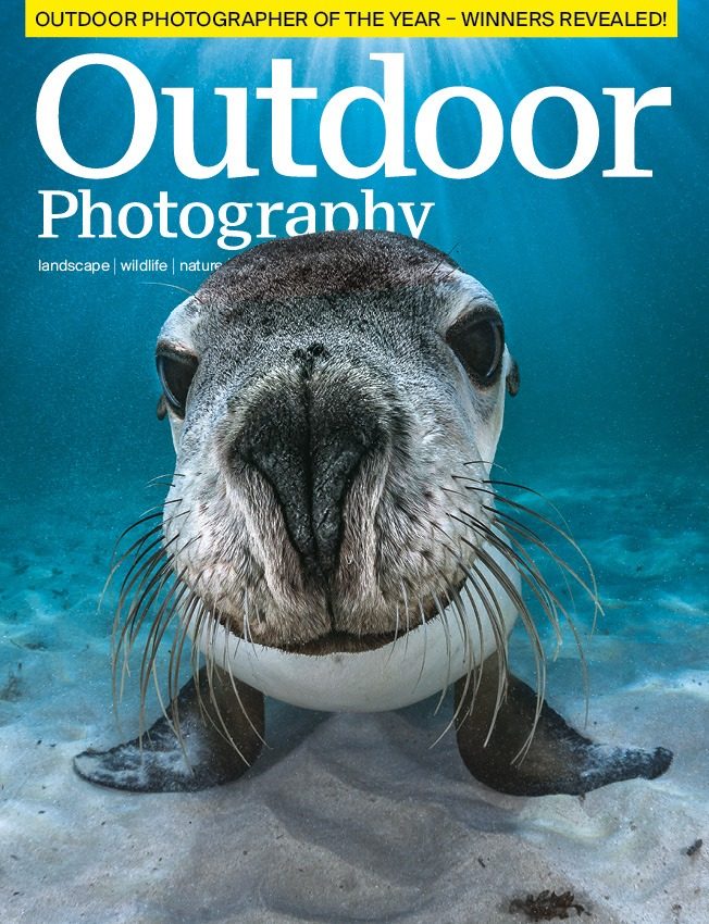 Outdoor Photography 242