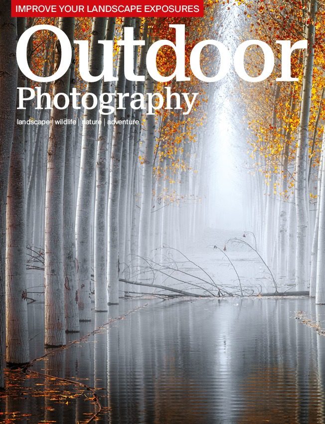 OP's December issue: what's in store