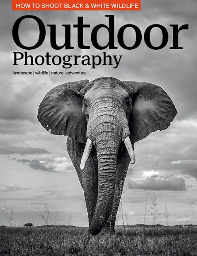 At a Glance - OP's June issue